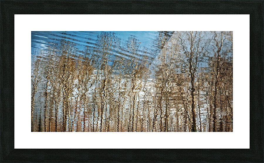 FS170310W Picture Frame print