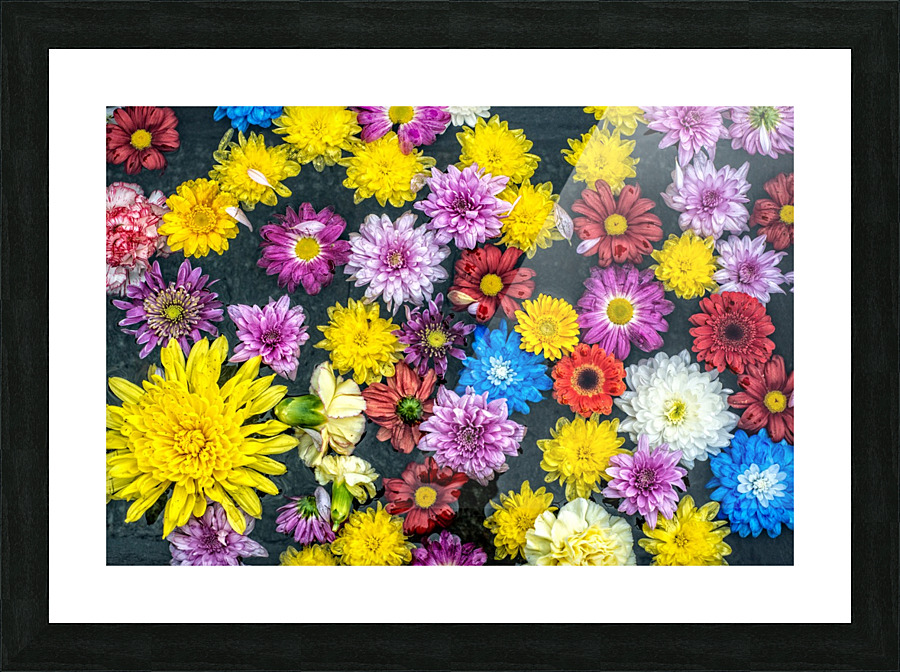 FS180130A Picture Frame print