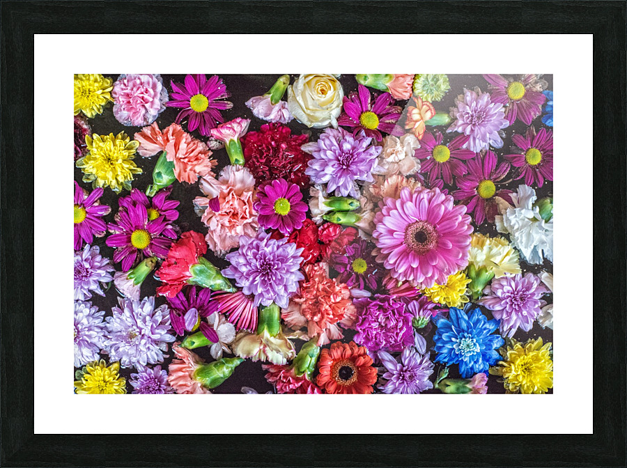 FS180130H Picture Frame print