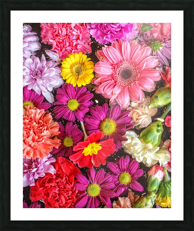 FS180130C Picture Frame print