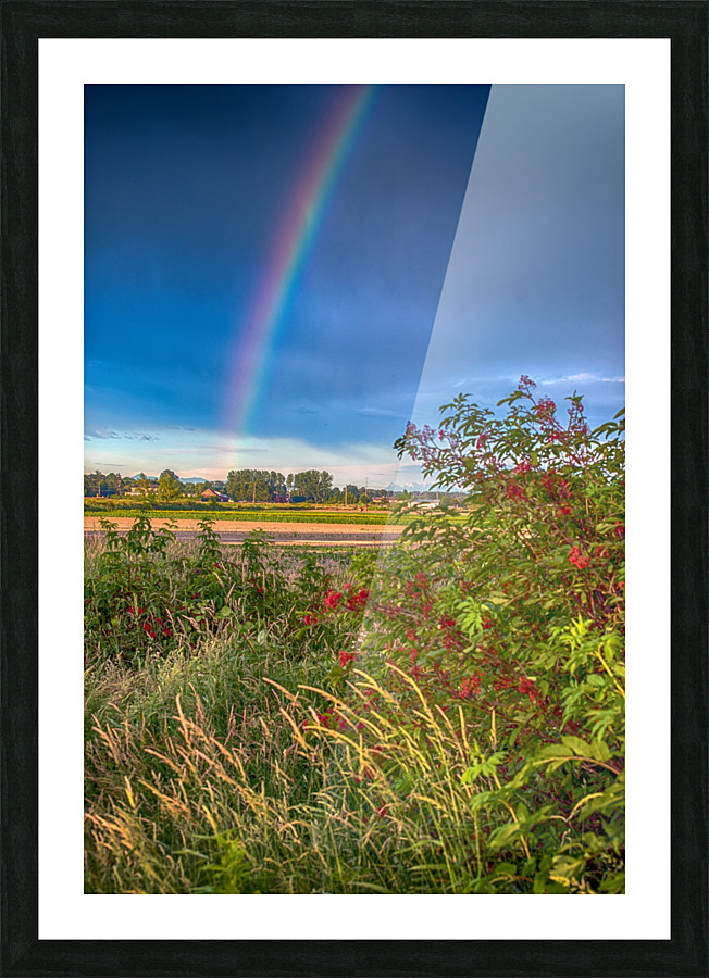 FS160617 0 Picture Frame print