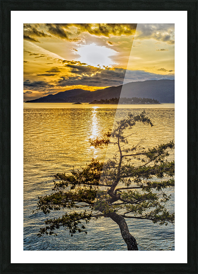 FS180417WC Picture Frame print