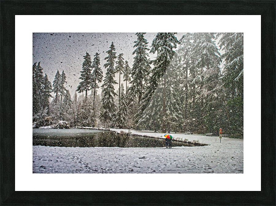 FS161205 0 Picture Frame print