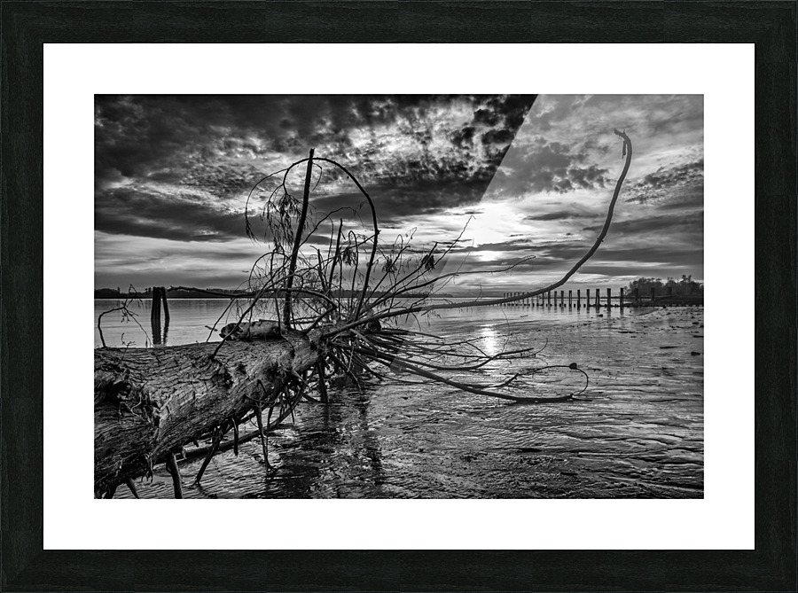 FS 150326BW Picture Frame print