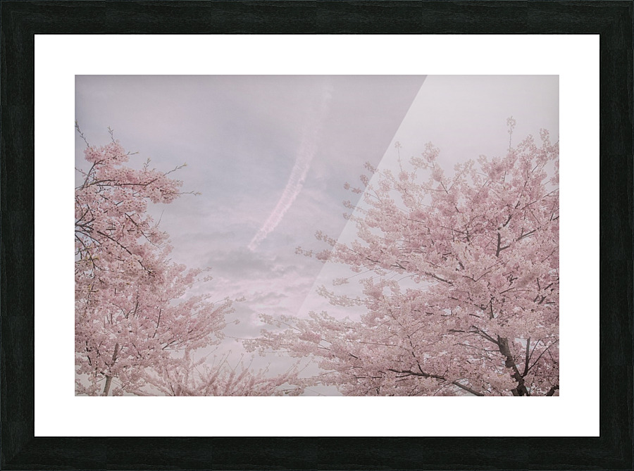 FS150324 0 Picture Frame print