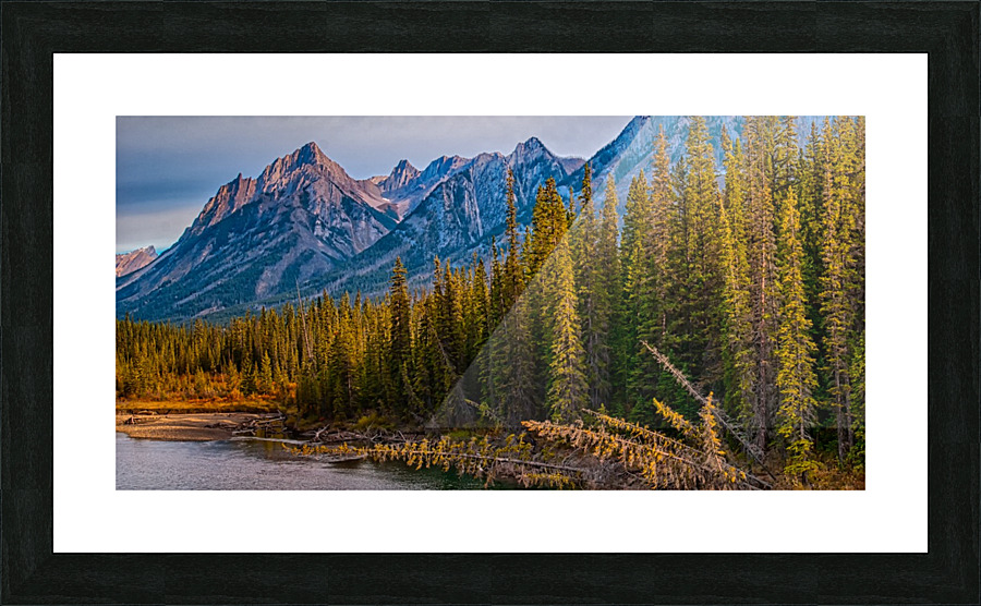 FS121007DW3 Picture Frame print