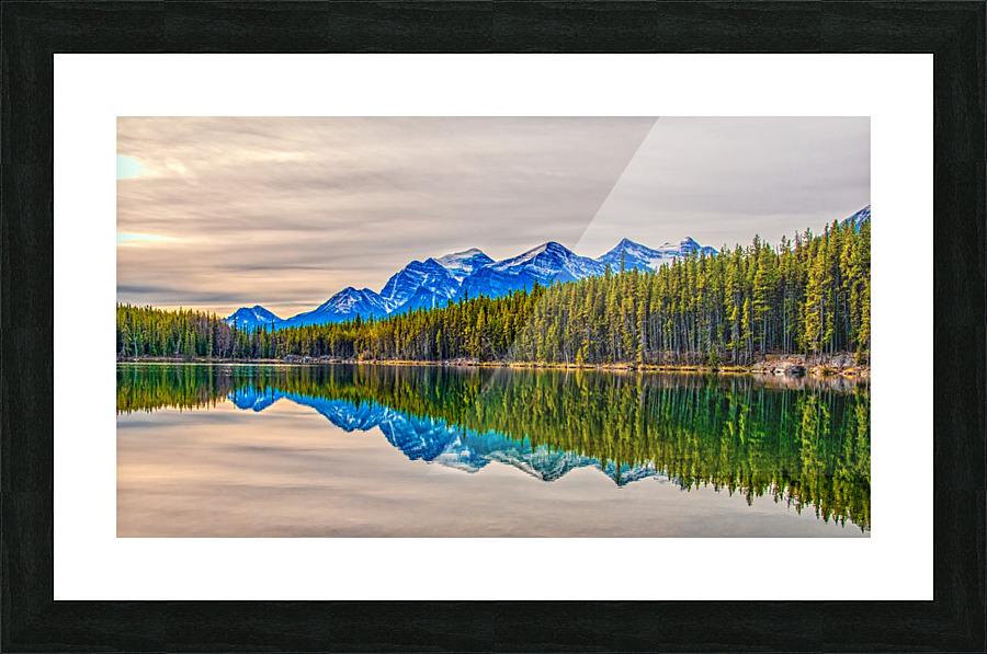 FS121007DW4 Picture Frame print