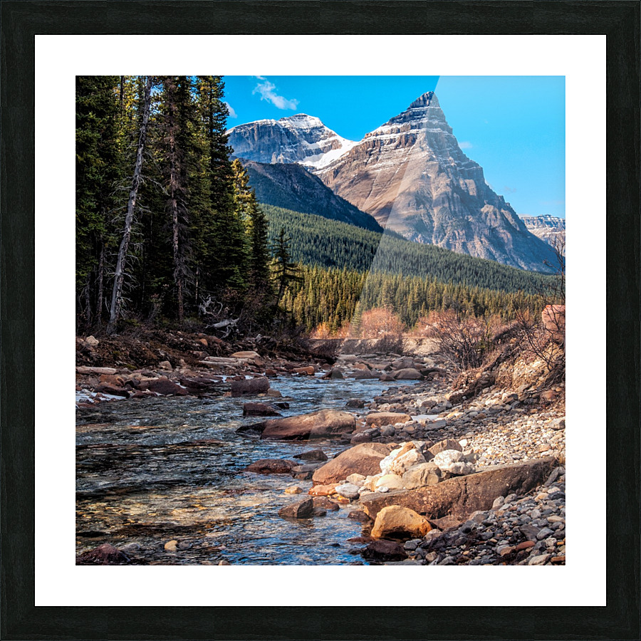 FS121007 1S Picture Frame print