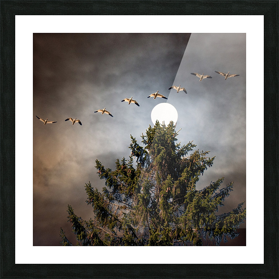 FS130401 0 Picture Frame print