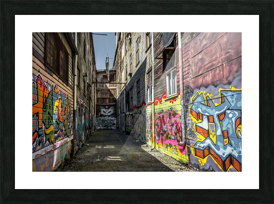 FS170706 00 Picture Frame print