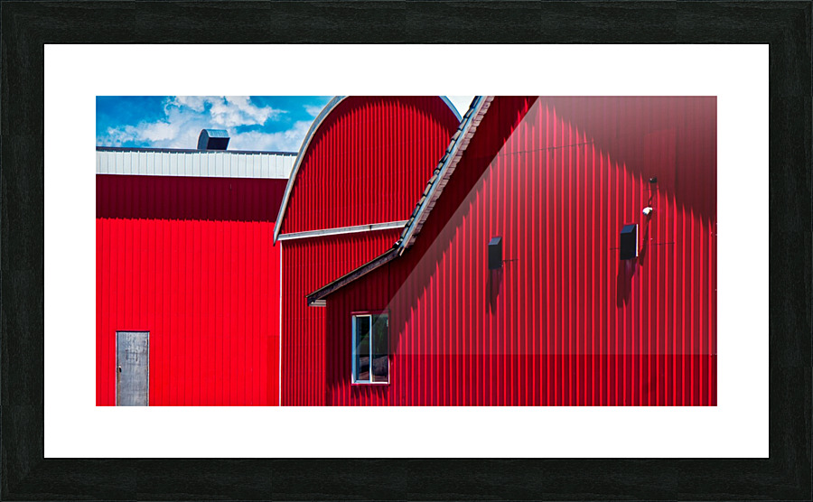 FS130602DW Picture Frame print