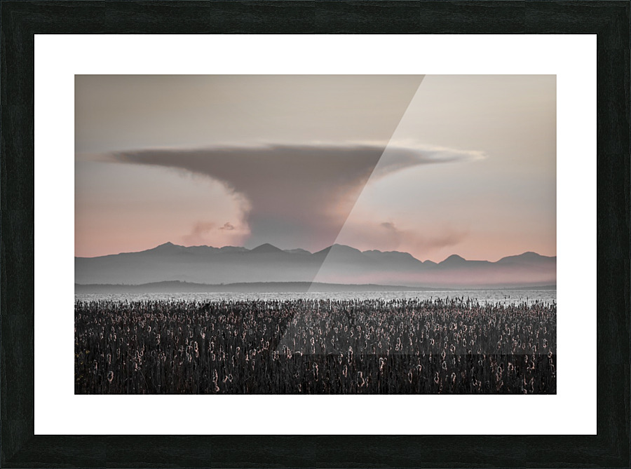 FS150407 00 Picture Frame print