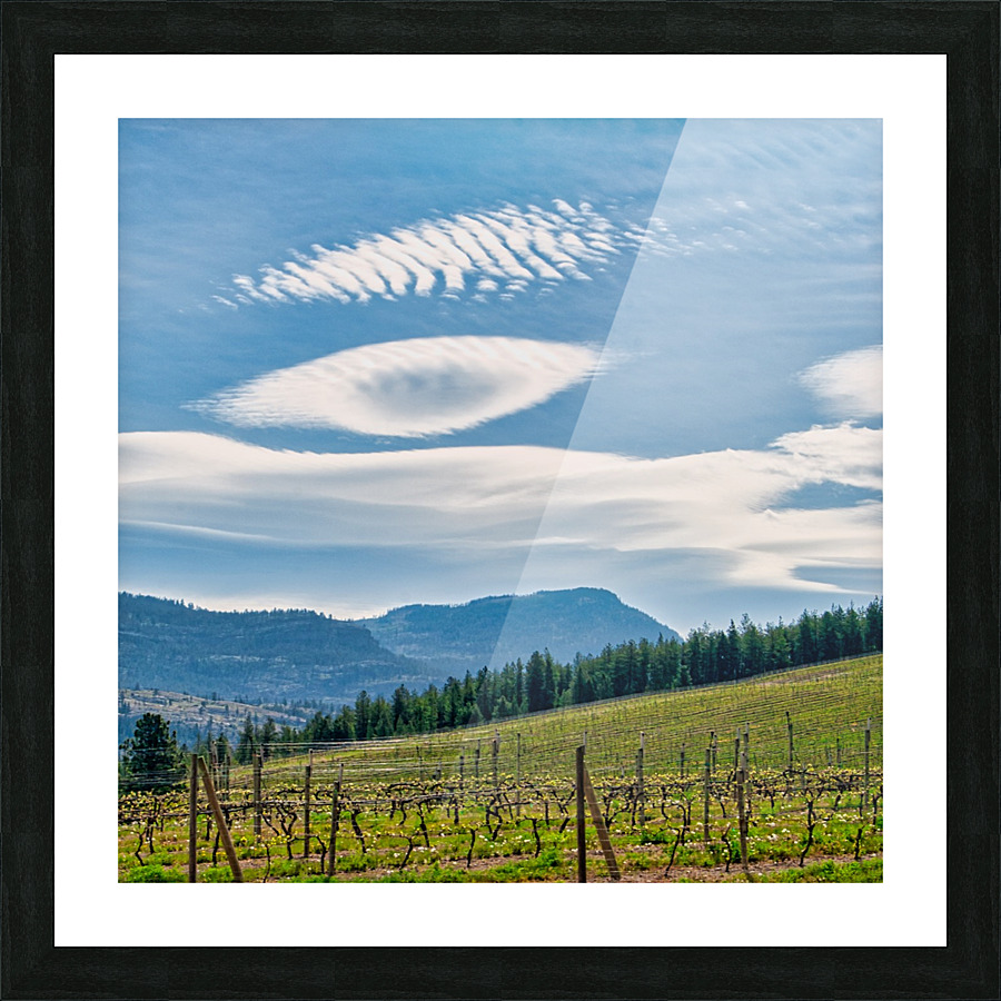 FS080518S6 Picture Frame print