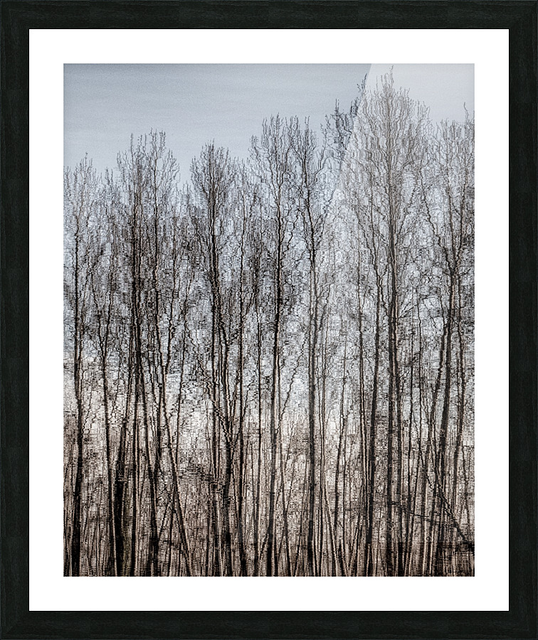FS110302 0 Picture Frame print