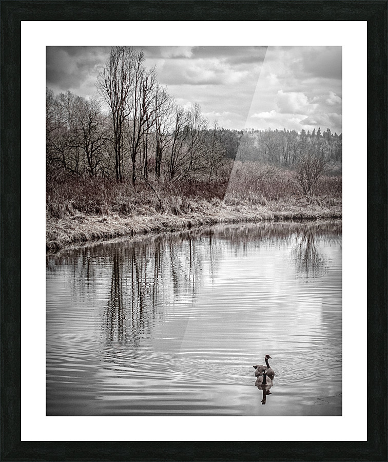 FS110312 0 Picture Frame print