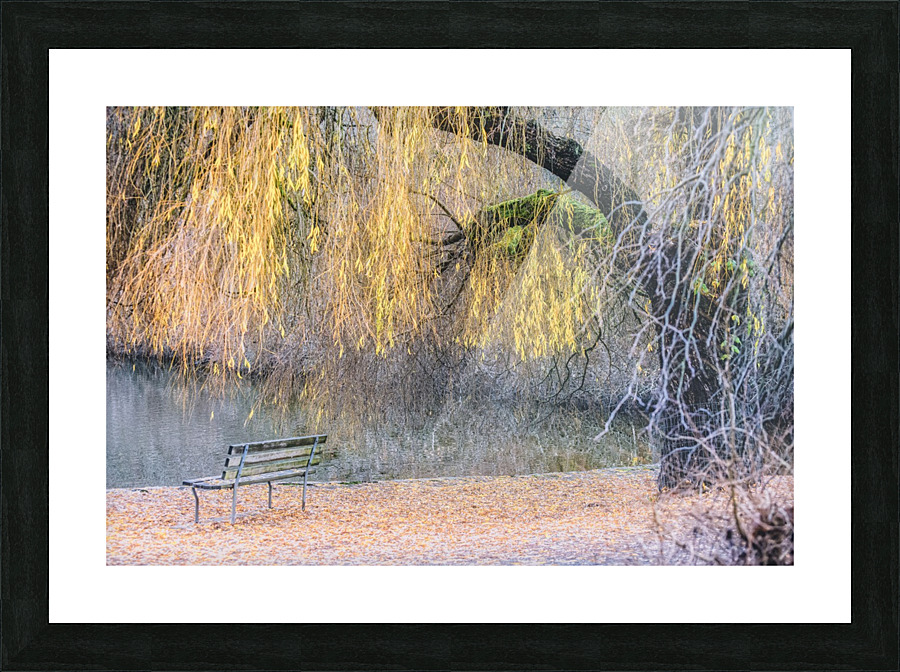 FS171203 0 Picture Frame print