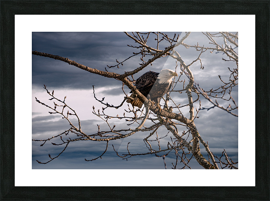 FS210223 2 Picture Frame print