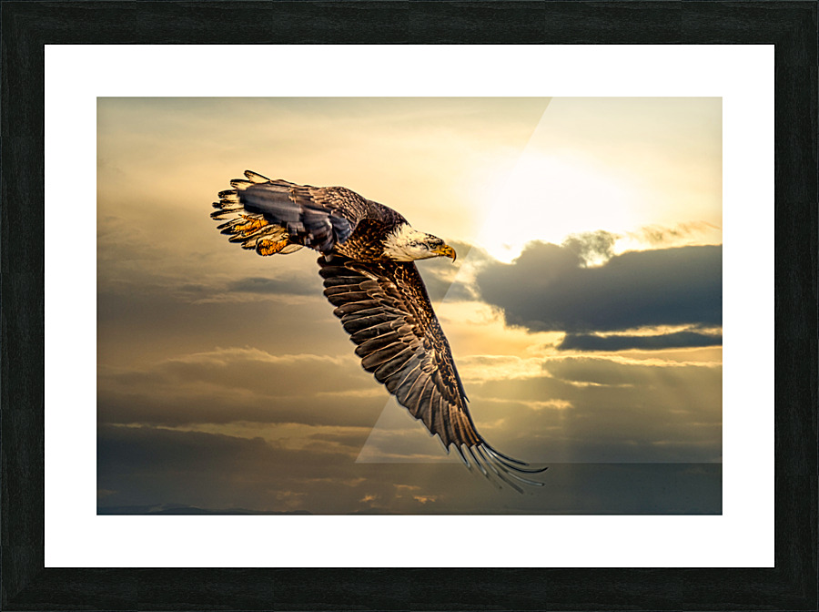 FS210227 00 Picture Frame print