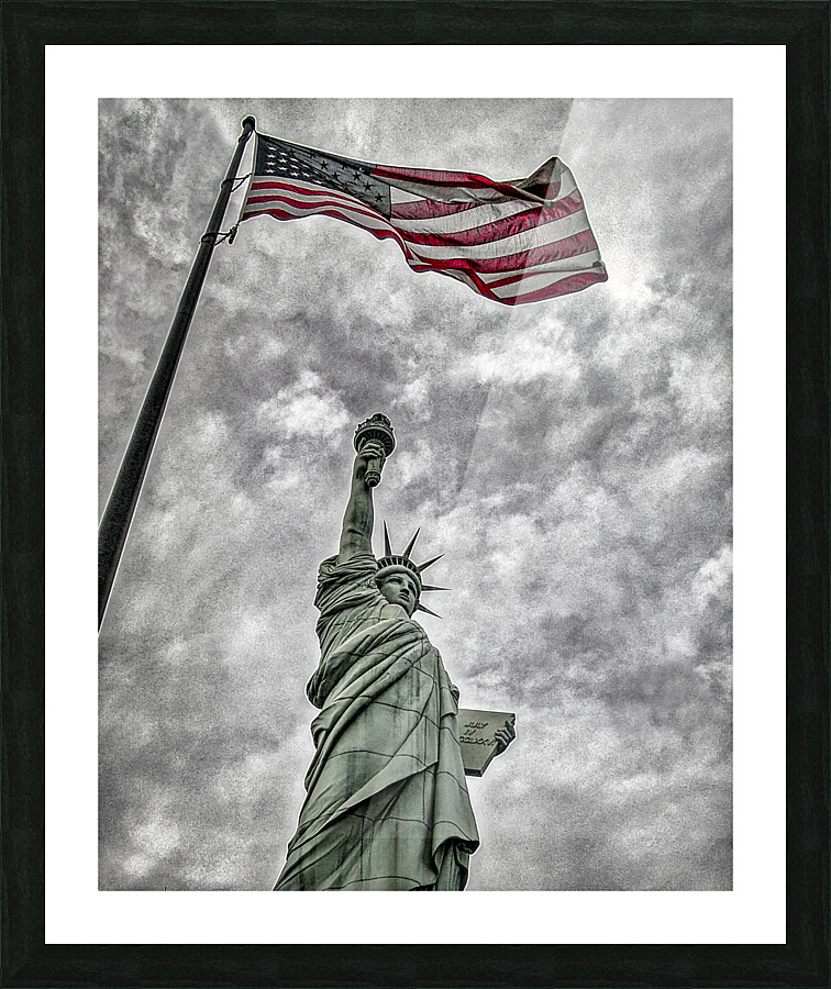 FS090803BW3 Picture Frame print