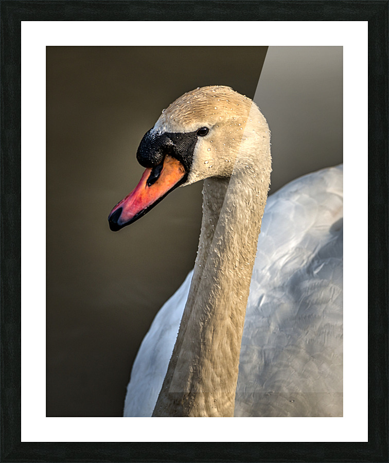 FS210303 Picture Frame print