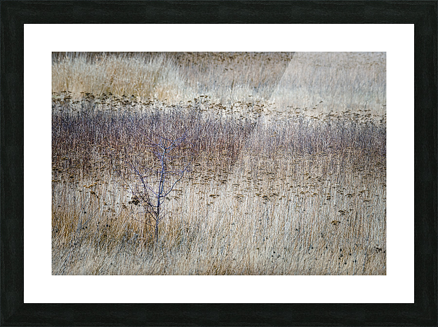 FS210227M Picture Frame print