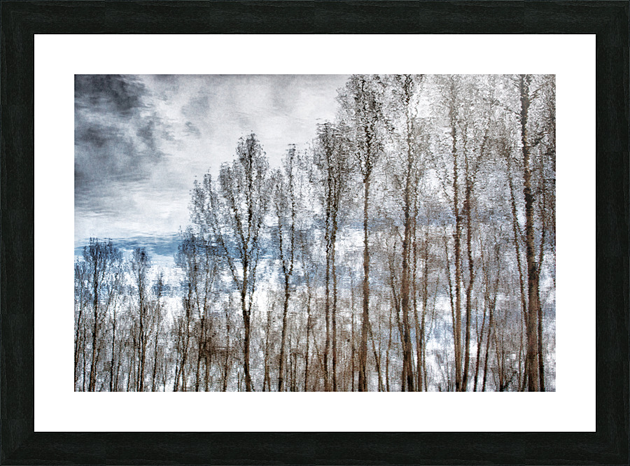 FS170221E3 Picture Frame print