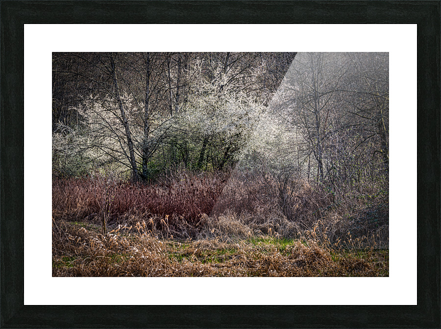 FS210329 Picture Frame print