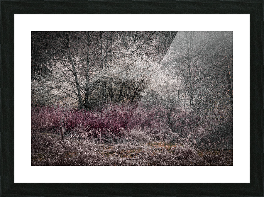 FS210329 01 Picture Frame print
