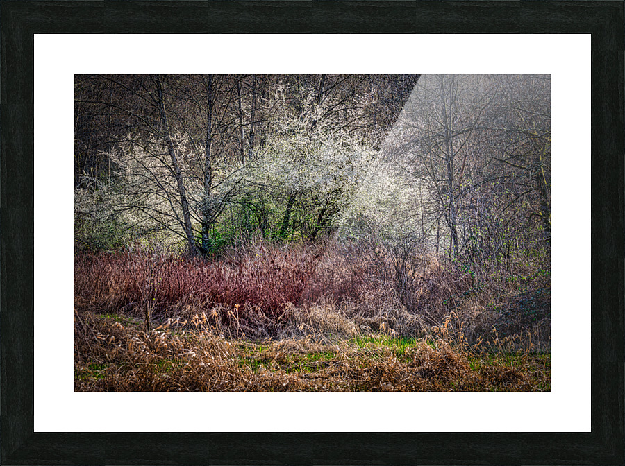 FS210329 02 Picture Frame print