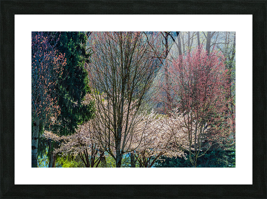 FS210415 01 Picture Frame print