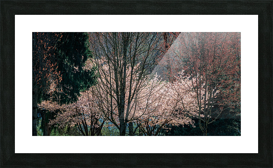FS210415 02 Picture Frame print
