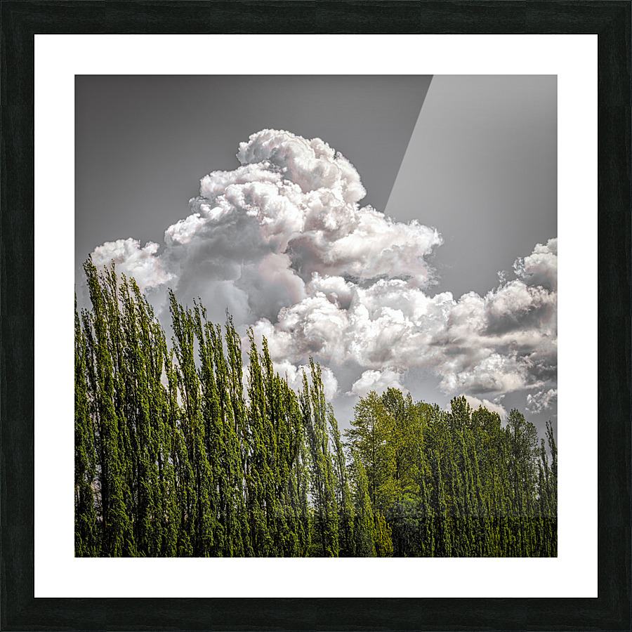 FS210501S Picture Frame print
