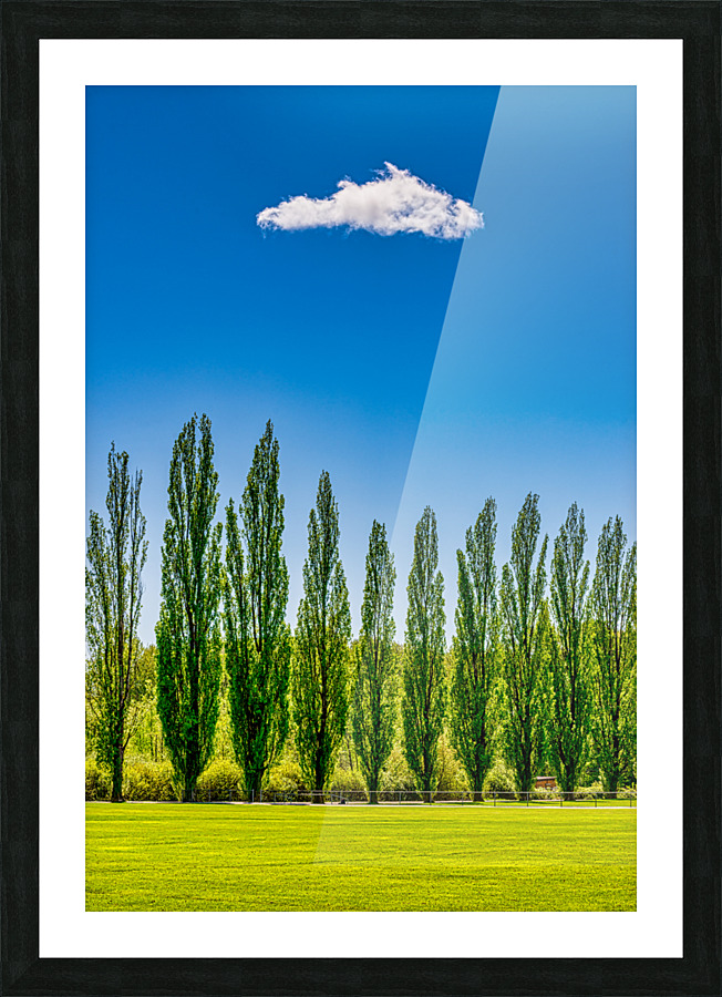 SUMMER LANDSCAPE Picture Frame print