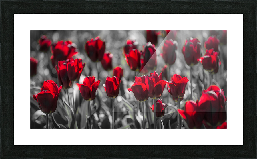 FS210501DW5 Picture Frame print