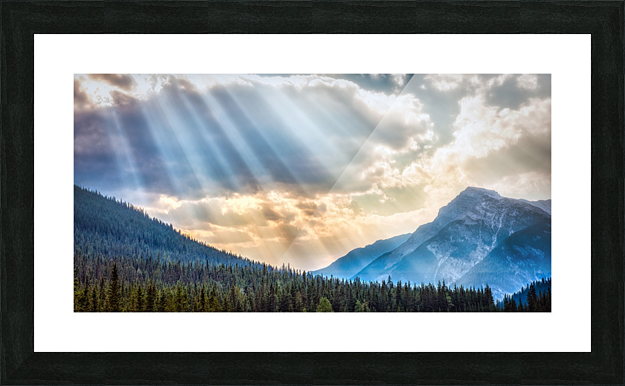 FS170901DW2 Picture Frame print