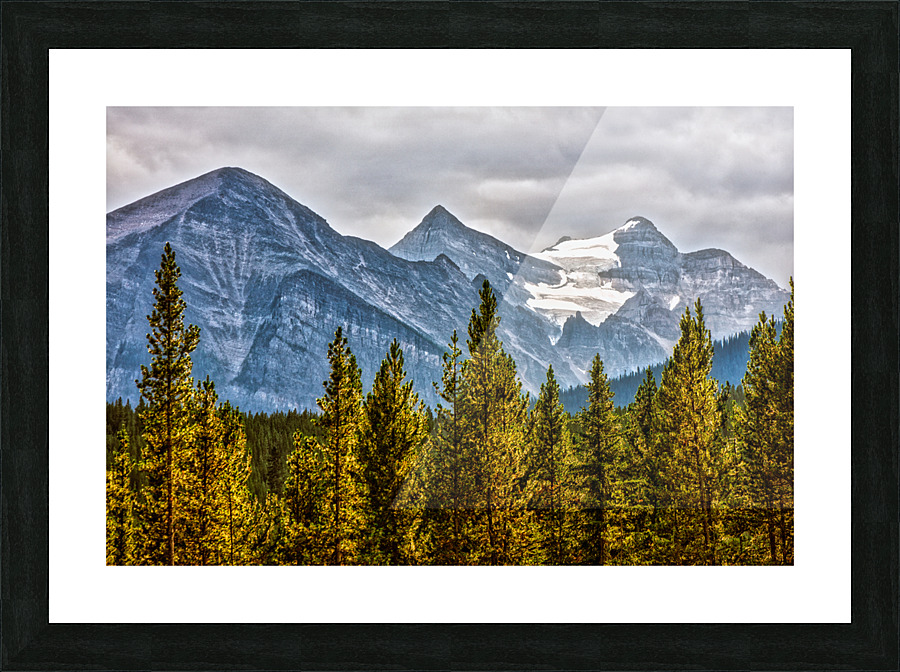 FS170901 03 Picture Frame print