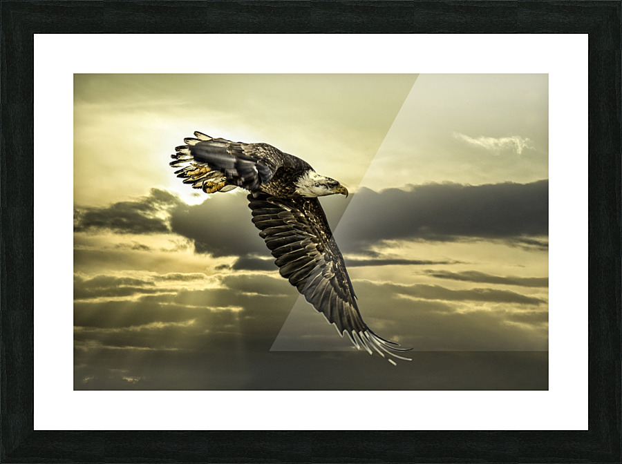 FS210227 02 Picture Frame print