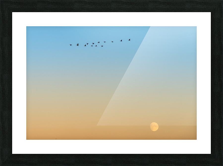 FS200928 3 Picture Frame print