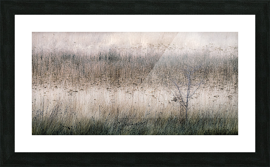 Winter Landscape Picture Frame print