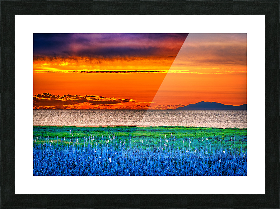FS200519 Picture Frame print