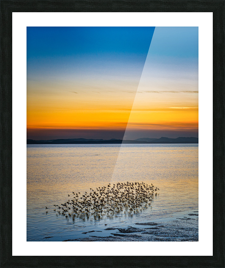 FS171223H2 Picture Frame print