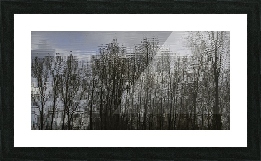 FS220329 06 Picture Frame print