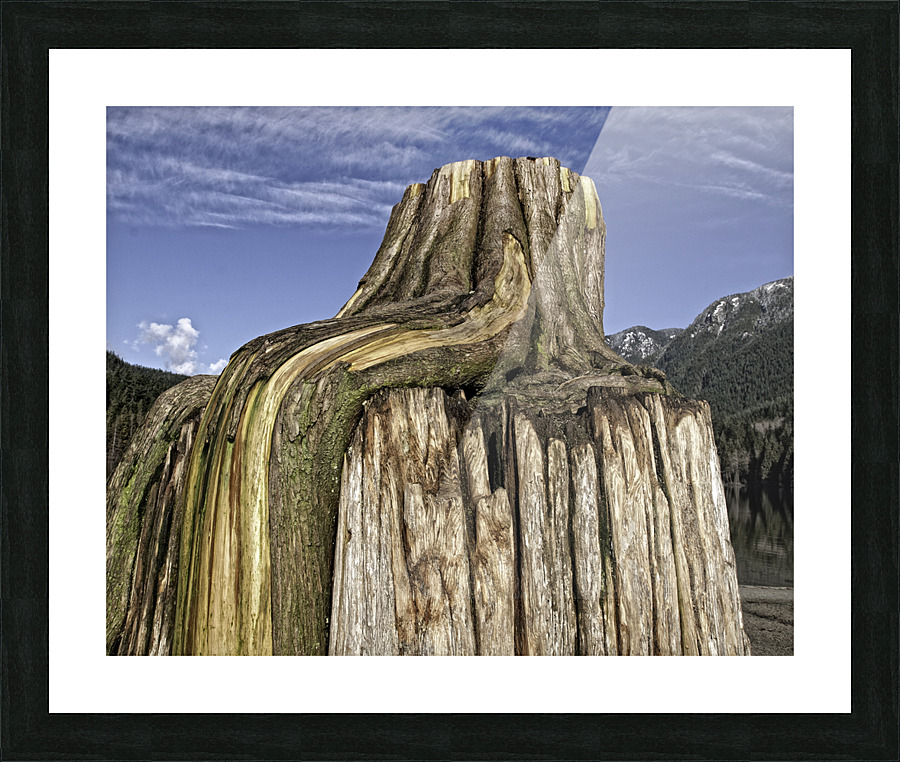 REBORN Picture Frame print