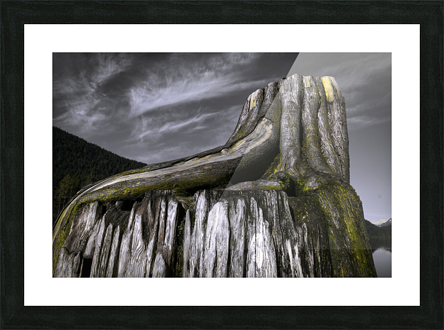 New Life 2013 Picture Frame print
