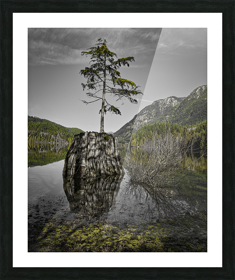 NEW LIFE Picture Frame print