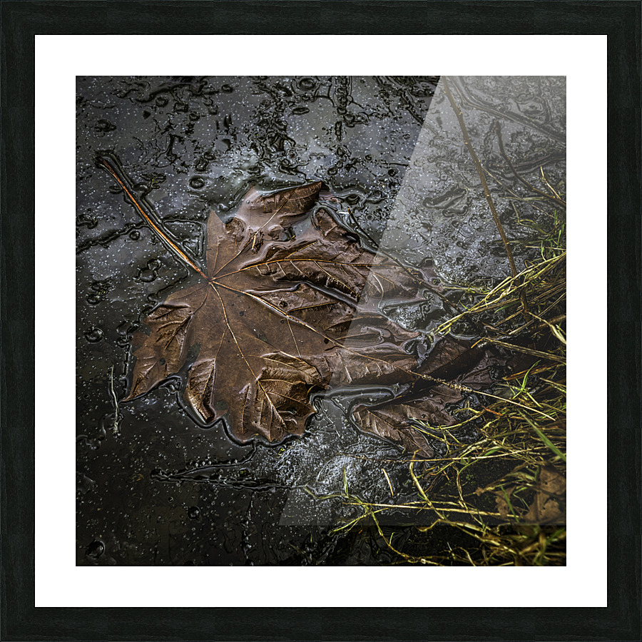 FROZEN IN TIME Picture Frame print