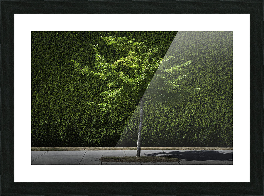 GREEN CITY Picture Frame print