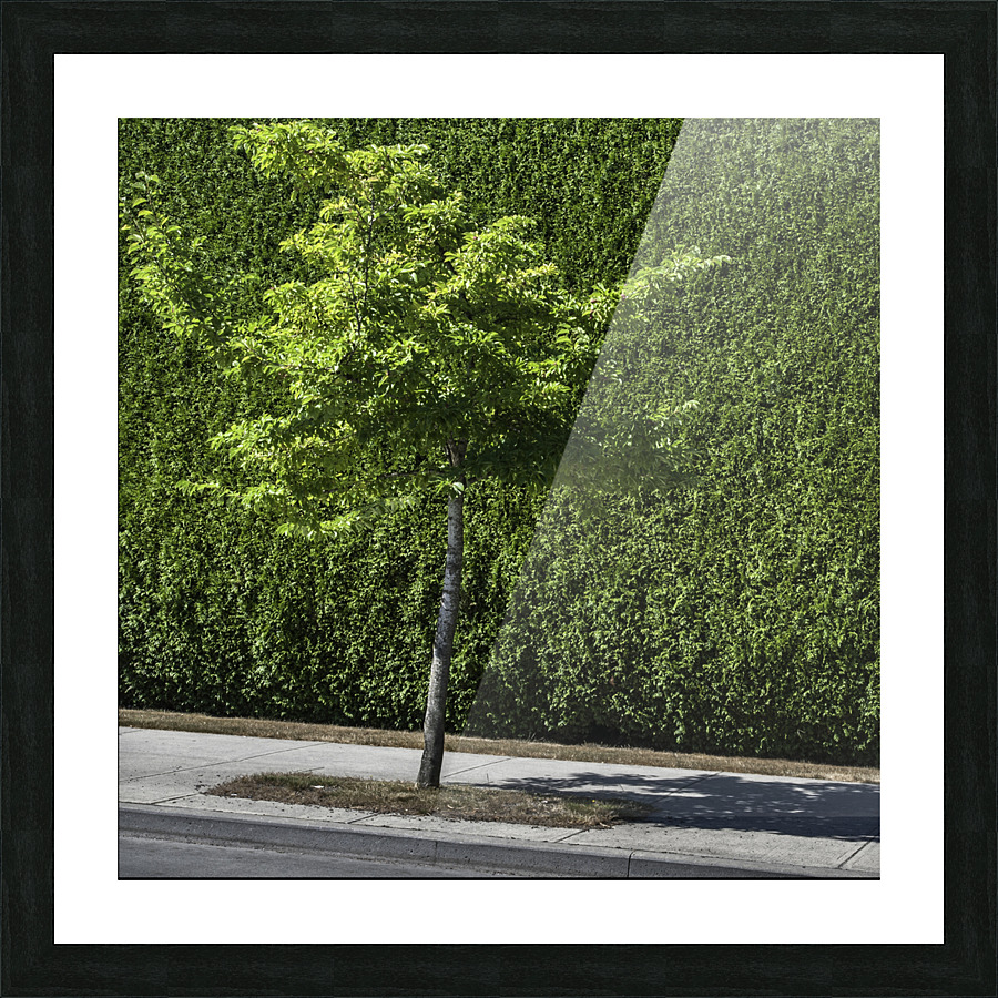 FS130729S Picture Frame print