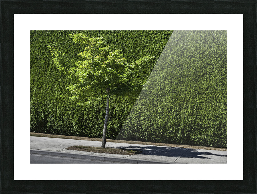 FS130729 Picture Frame print