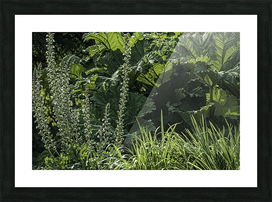 GREEN LIFE Picture Frame print